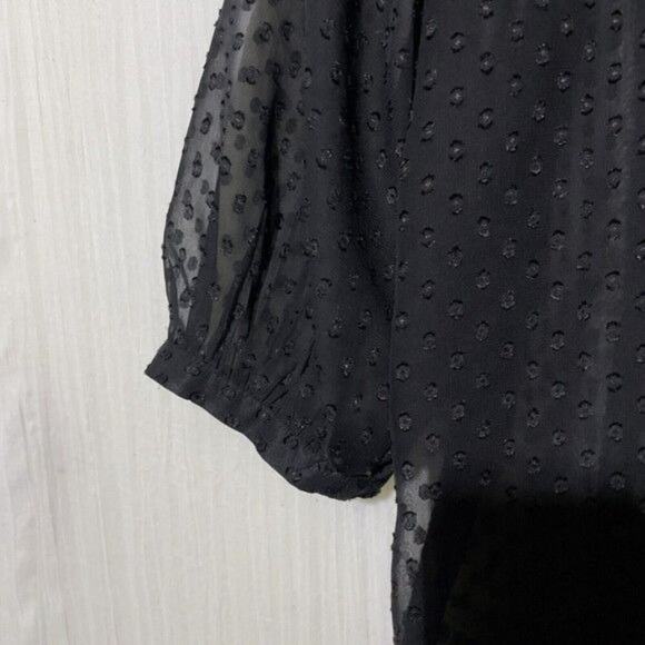 Daniel Rainn · Sheer Tunic Blouse · Small · Ruffle Collar Split V-Neck · Black - Picture 8 of 11